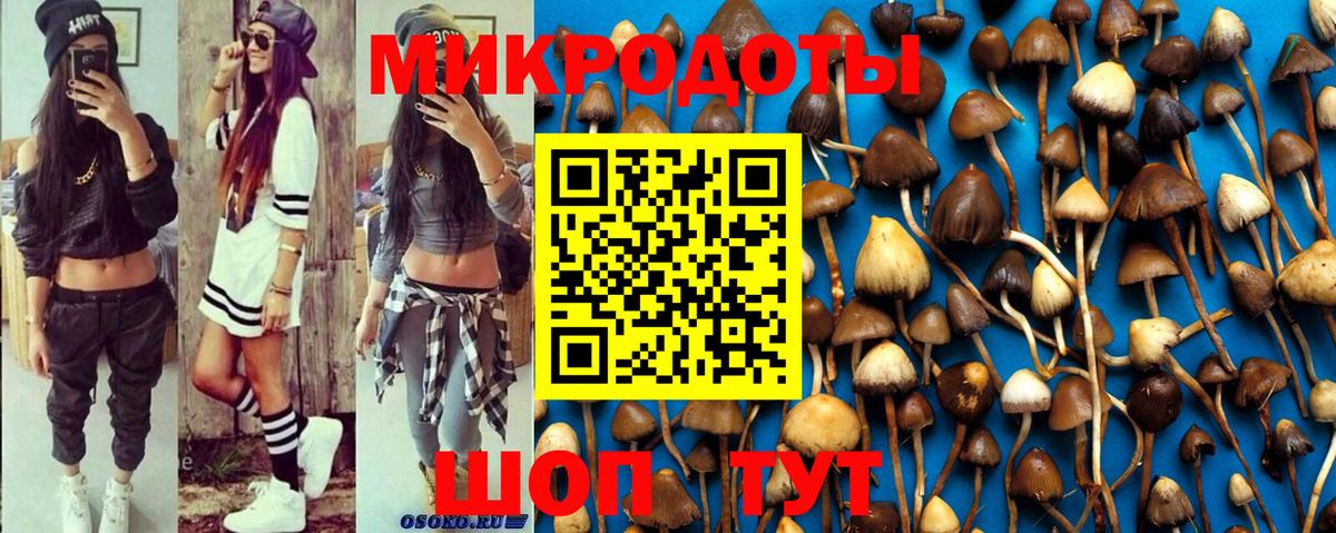 Галлюциногенные грибы MAGIC MUSHROOMS  как найти   Удомля  Вход с VPN 